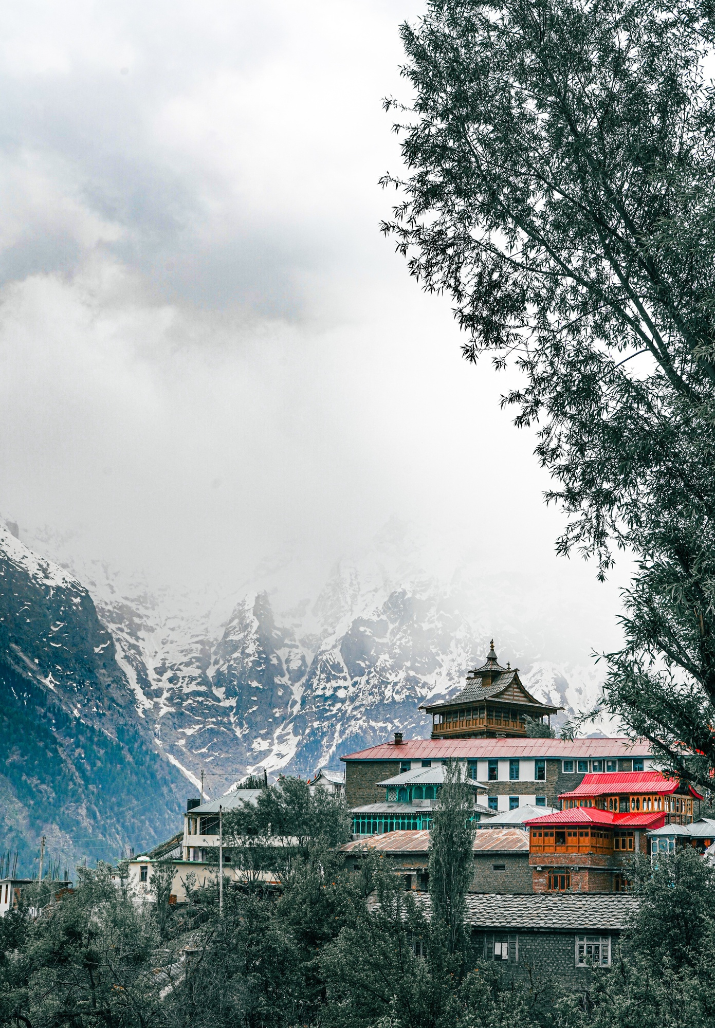 Dharamshala2